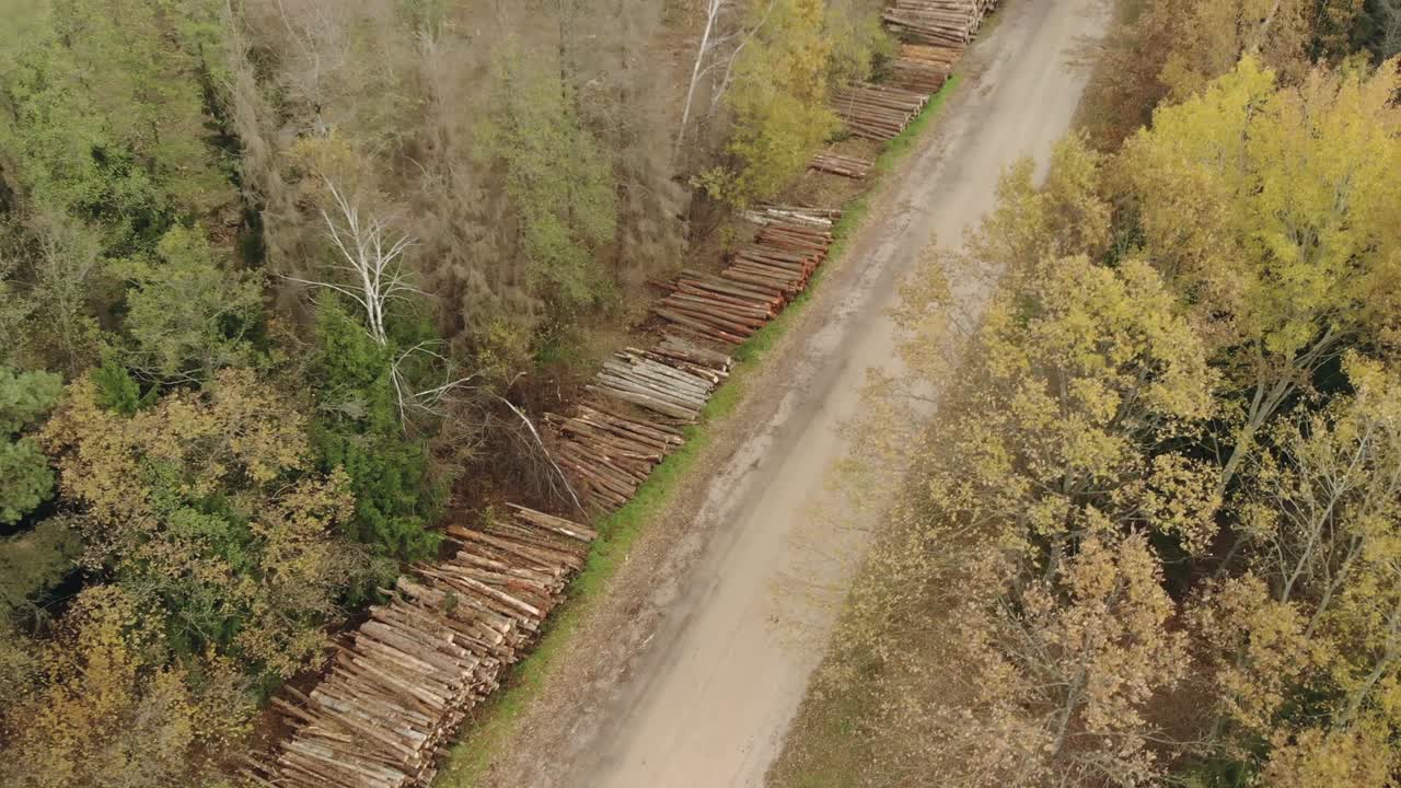 стопы бревен, стволы вырубленных деревьев, сложенные вдоль гравийной дороги
