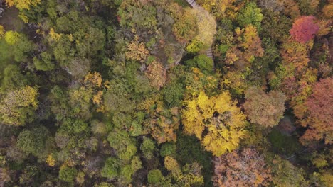 Drone-footage-of-the-Ancient-School-of-Aristotle-in-Macedonia-Greece,-in-a-forrest