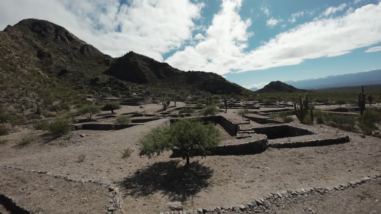 drone pasando por encima de las ruinas de quilmes en las remotas afueras de tucumán, argentina, saguaro cactus crecido en la tierra árida