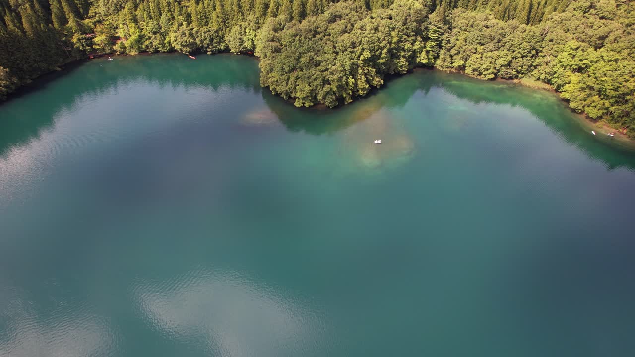 Aerial View of a Tranquil Lake Surrounded by Forest