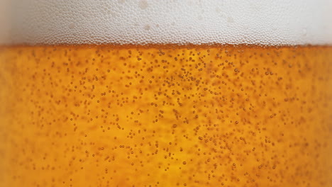 burbujas de cerveza que se elevan hacia la cabeza de cerveza espumosa - líquido ámbar gaseoso en macro