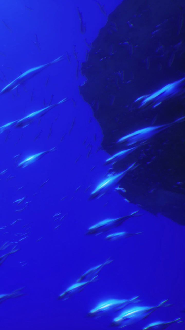 Exploring the deep sea near a dark underwater rock formation