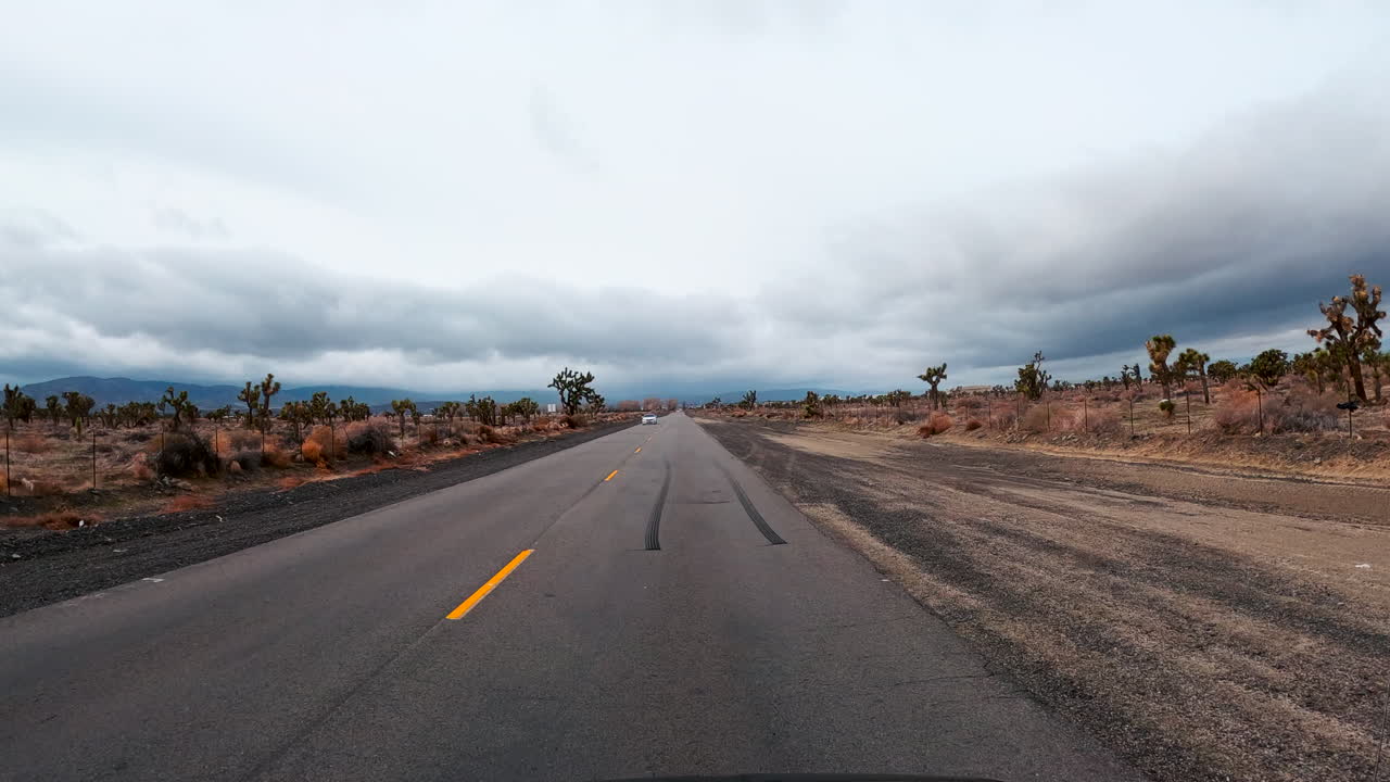 Kører gennem en Joshua-træ-skov i Mojave-ørkenen