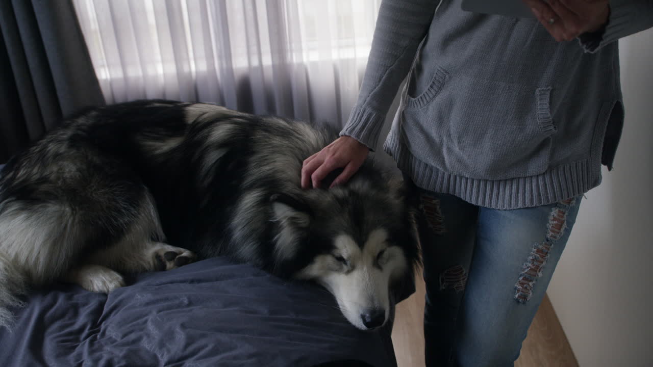 서두르지 마, 조용한 음색을 받아들여