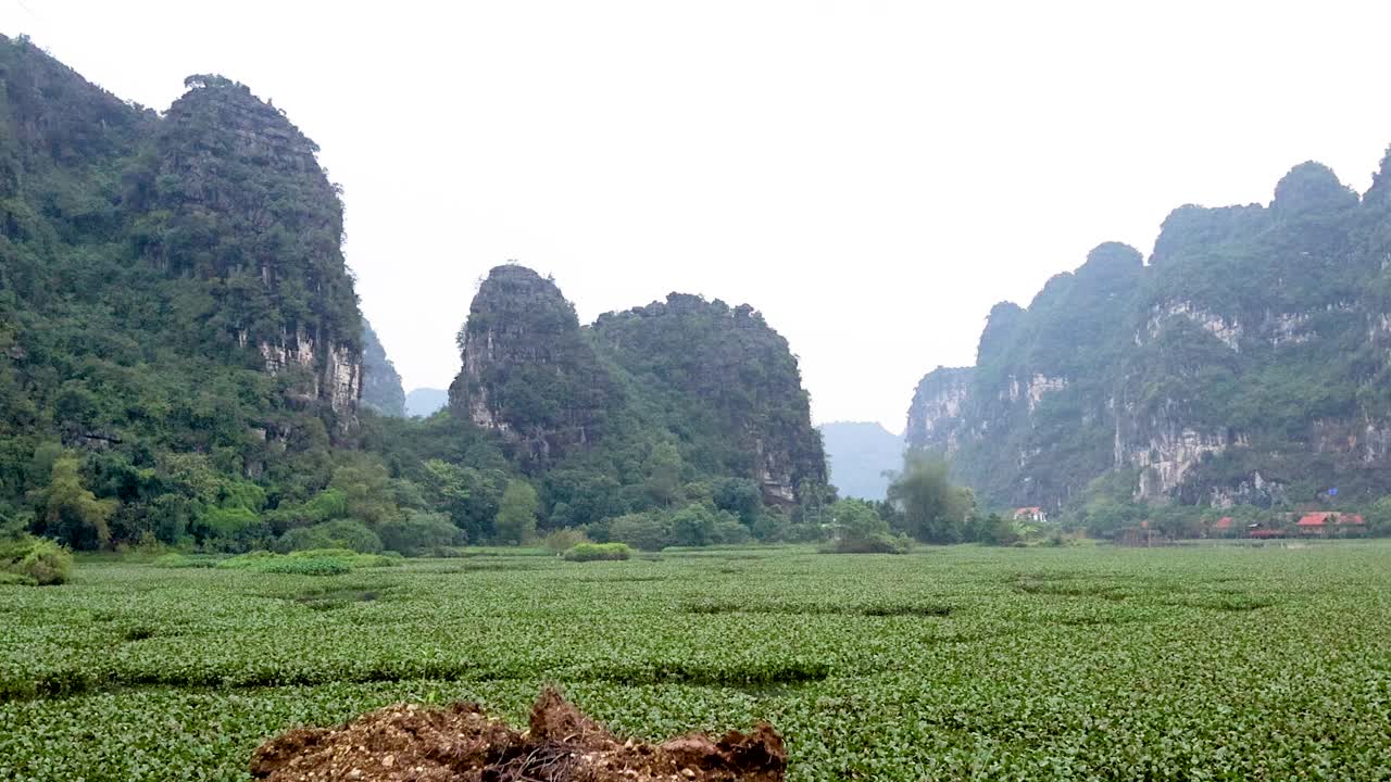 푸른 초록색과 석회암 산 들 in ninh binh