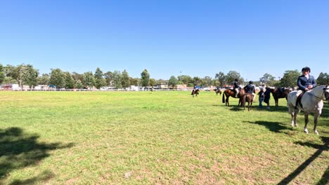 horses racing on a sunny day