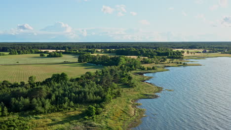 Flying-from-the-sea-over-the-fields-and-trees