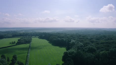 Beautiful-landscape-shot-of-fields-and-woodland-in-English-summer-sun