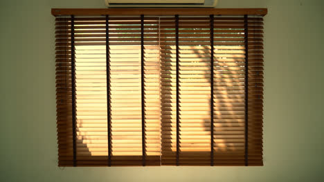 bamboo blind, bamboo curtain, chick, venetian blind or sun-blind