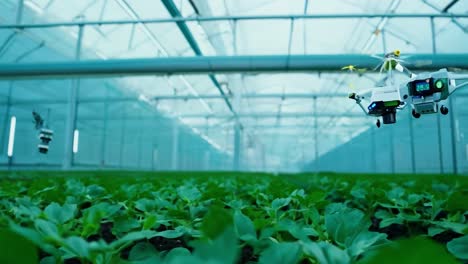 drones en un invernadero para la agricultura inteligente
