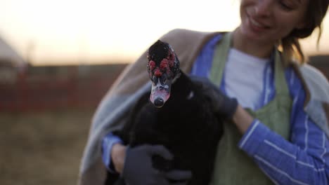 young woman holding a domestic dark duck on a local farm