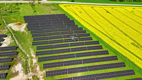 Drone Flying Over The Solar Farm By The Rapeseed Fields. - aerial shot