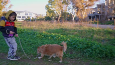 niño caucásico, trata de controlar a su perro mascota en un paseo con una correa en los campos