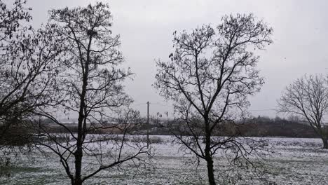 Schneefall,-Große-Flocken-Und-Winteranfang,-Winterszene,-Statische-Aufladung