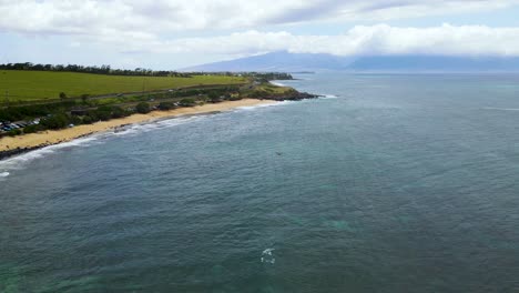 playa turística de arena en la hermosa isla hawaiana de maui - aérea