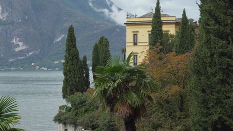 palm tree grows near town of varenna