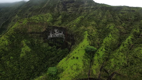 Vista-Aérea-De-Colinas-Y-Paisajes-Verdes-En-Kauai-Hawaii