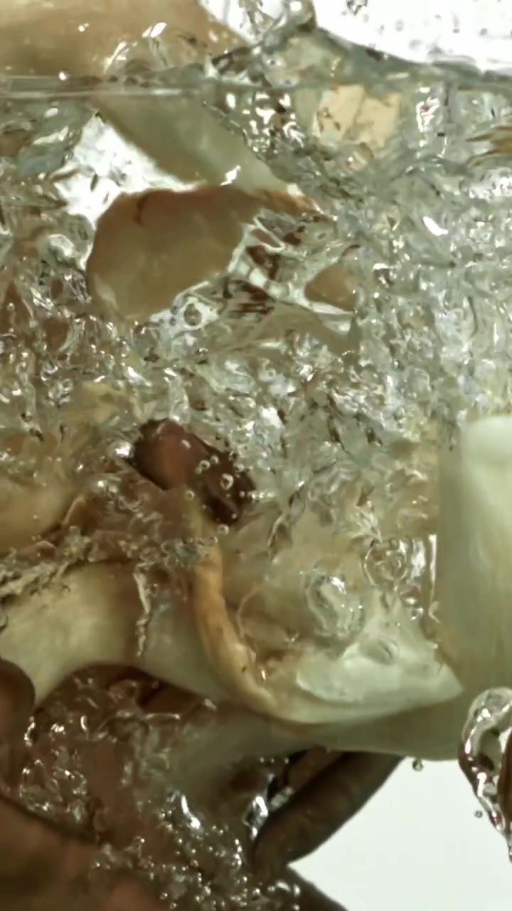Funghi che cadono in acqua limpida con bolle al rallentatore