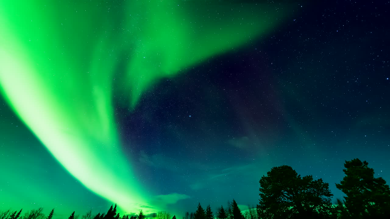 Magical green aurora borealis light show in night sky over treetops. Timelapse