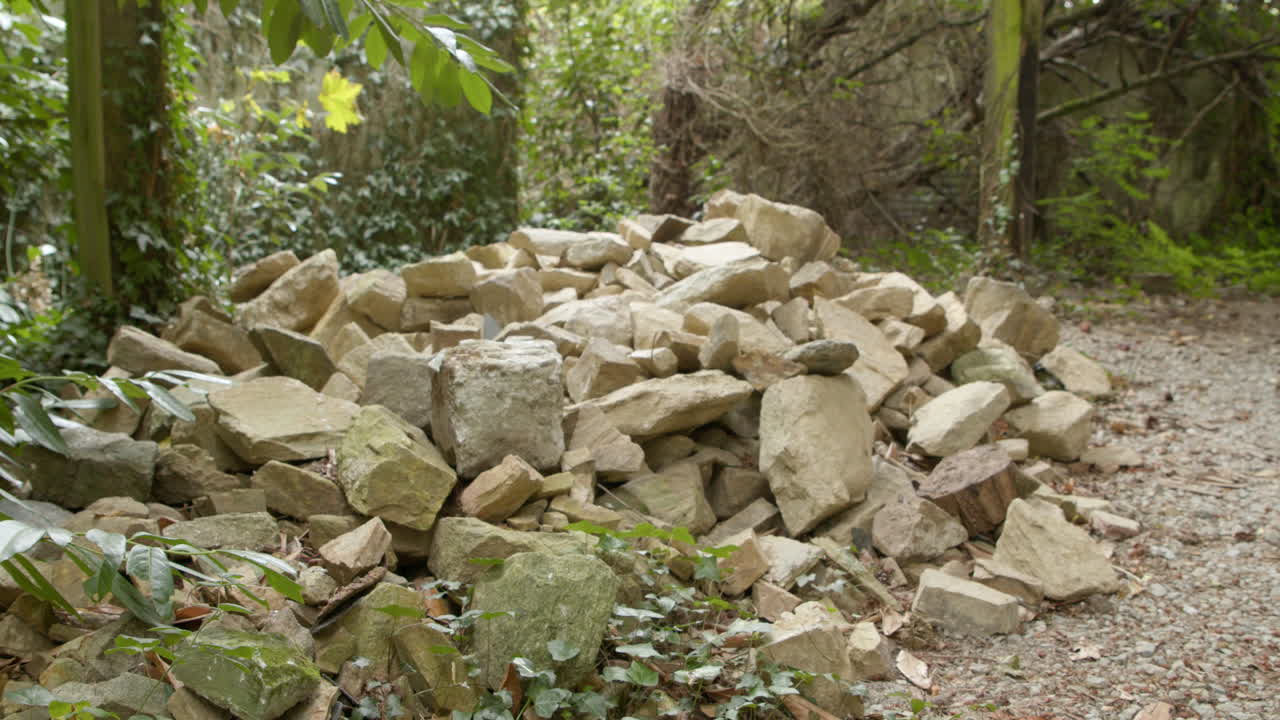 Un mucchio di rocce in un bosco remoto. Primo piano.