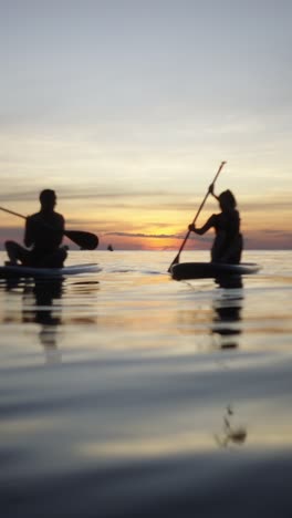 paddleboarding at sunset
