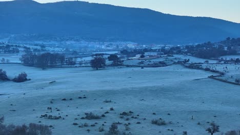 i fly at dawn in meadows with stone walls and ships, a town and some mountains in the background, everything is frozen, there is that turquoise blue color in the light, we see an animal running