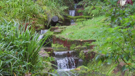 small river stream in calm tranquil japanese garden with plants and buddha statue with water flowing in slow motion