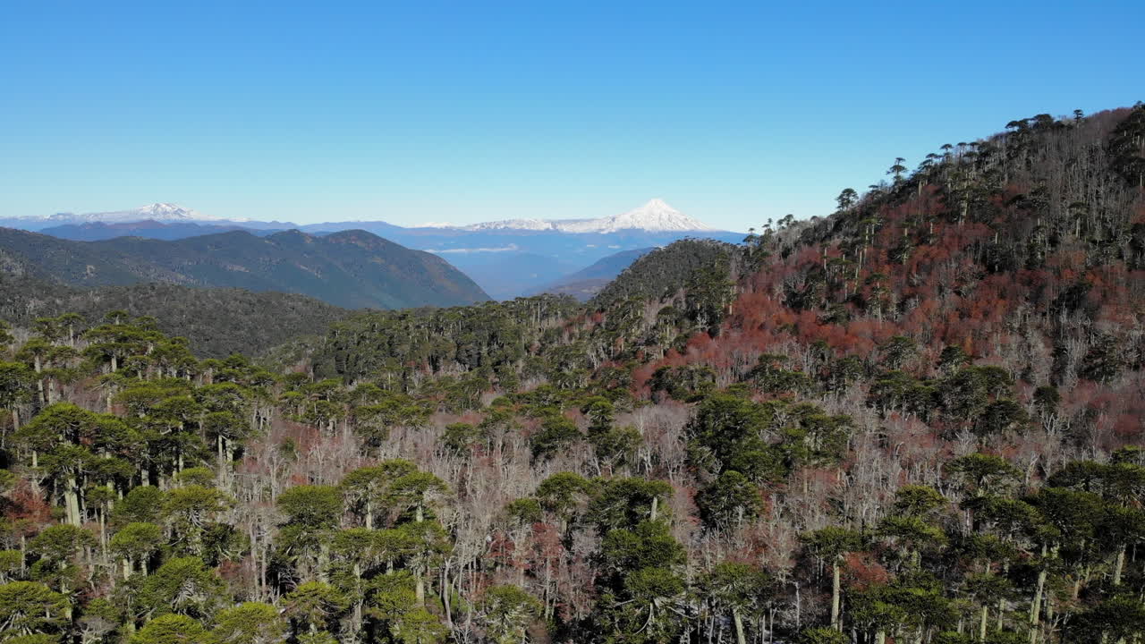 Mountainous Landscape with Forest and Volcano in the Distance