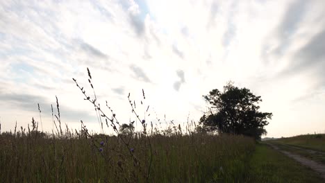 Nubes-Que-Pasan-Y-Amanecer-Sobre-La-Pradera-Del-Campo-De-Hierba-Del-País-Y-La-Carretera-Nacional-4k