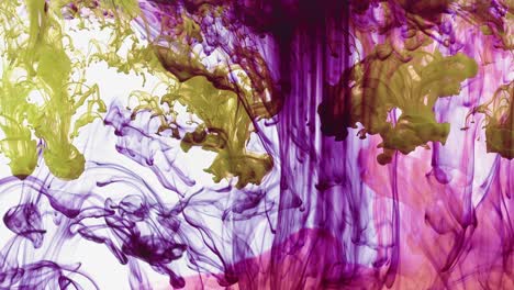abstracto orgánico hipnótico tinta fractal pintura de colores se extiende en el agua