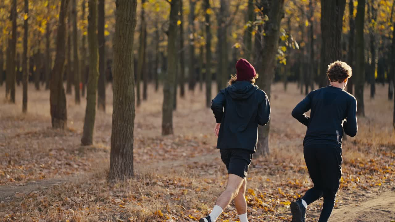 Two brunette black guys in sportswear give each other a high five and begin their jog in a sunny autumn forest along an earthen road