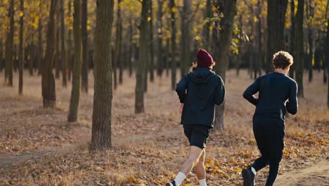 Two-brunette-black-guys-in-sportswear-give-each-other-a-high-five-and-begin-their-jog-in-a-sunny-autumn-forest-along-an-earthen-road