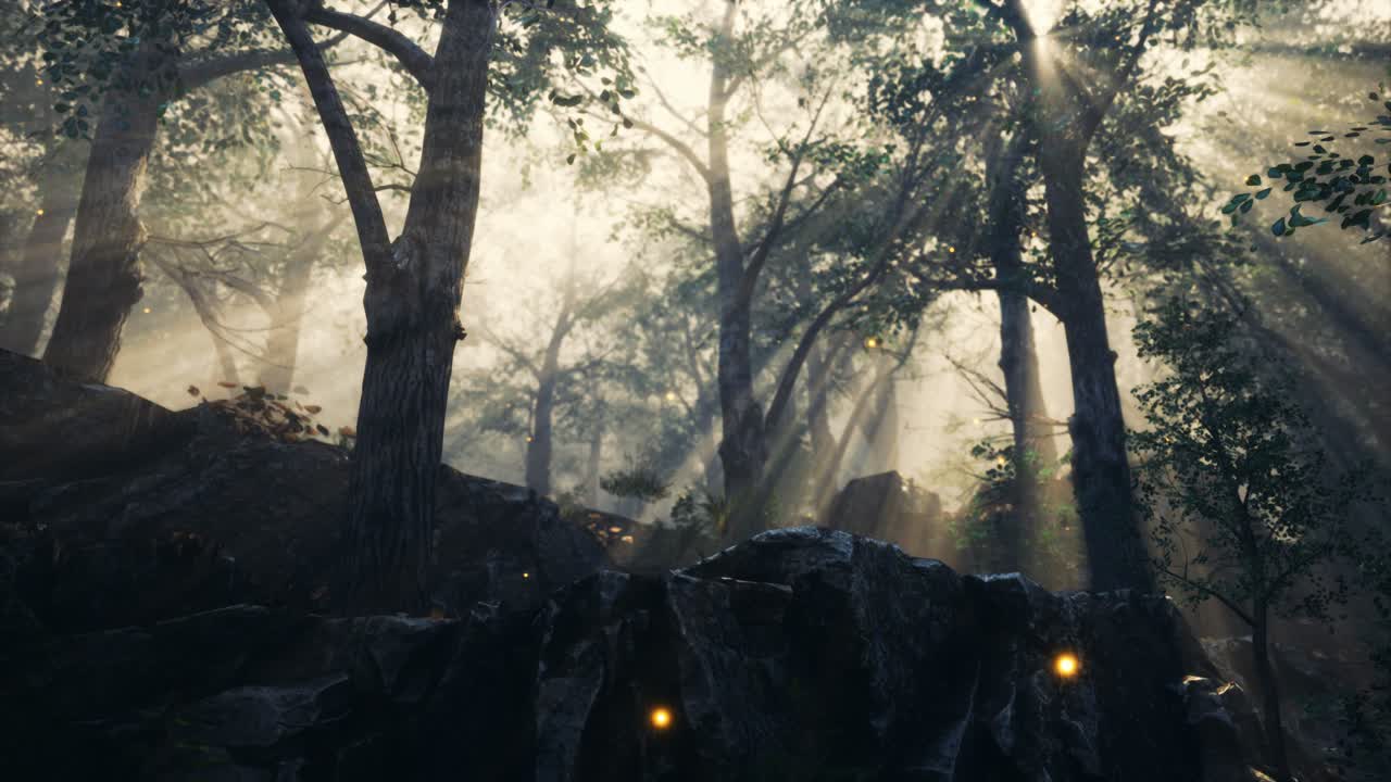 foreat at hight with bright moon light