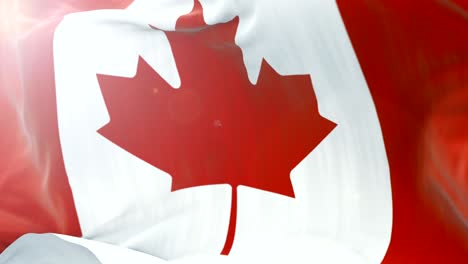 canada flag slow waving background. 4k close up flag waving. seamless loop