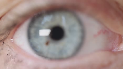 macro primer plano del ojo azul derecho con pestañas