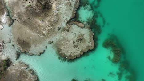 Vista-Aérea-Sobre-Las-Formaciones-De-Estromatolitos,-En-La-Laguna-De-Bacalar-En-México---De-Arriba-Hacia-Abajo,-Disparo-De-Drones