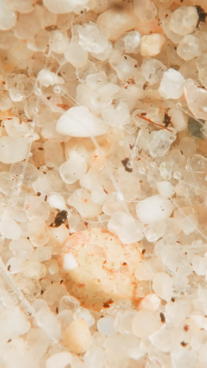 Light polished pebbles on seabed. Underwater soil covered with white and beige stones. Fantastic texture of bottom of clean reservoir of natural origin
