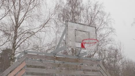 low angle shot of snow falling on forest mounted basketball hoop on a cold winter day