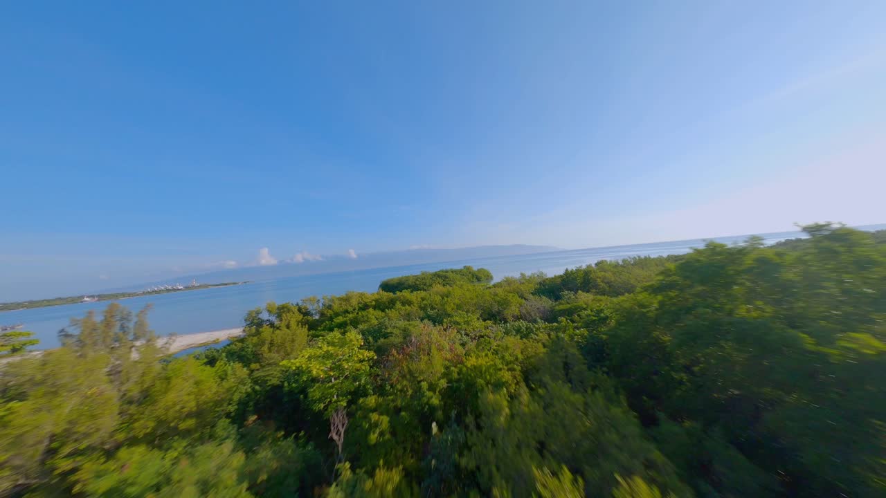 캐리비안 해안의 무성한 숲과 섬 주변의 fpv 드론, 플라야 루시 란디아