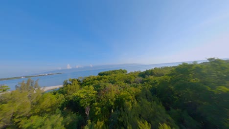 Fpv-drohne-über-üppigem-Wald-An-Der-Karibischen-Küste-Und-Um-Die-Insel-Playa-Luci-Landia