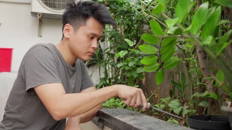 person using the tines of a fork to dig in a small garden