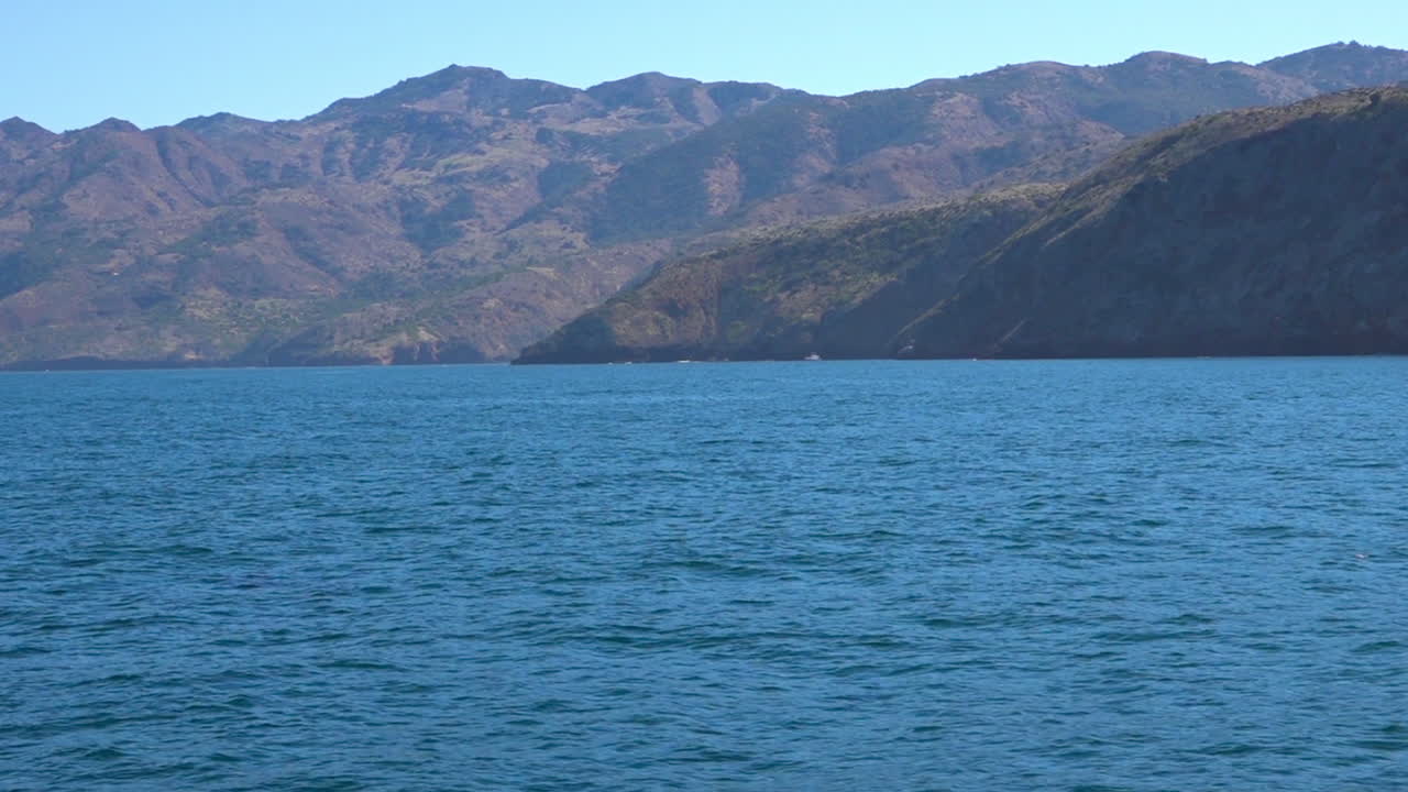enorme orca orca nadando en el océano pacífico cerca de las islas del canal santa barbara california 1