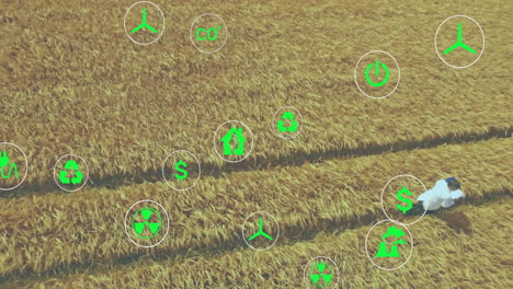 animating green sustainability icons over golden wheat field in rural area