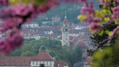 Spring-view-of-a-picturesque-town-through-blooming-cherry-blossoms,-featuring-historic-architecture-and-lush-greenery