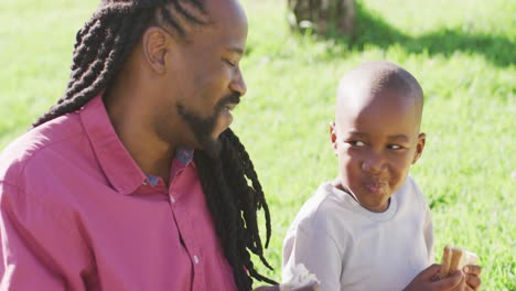 video of happy african american father and son having picnic on grass