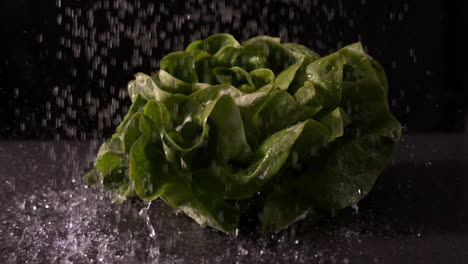 water raining on head of lettuce