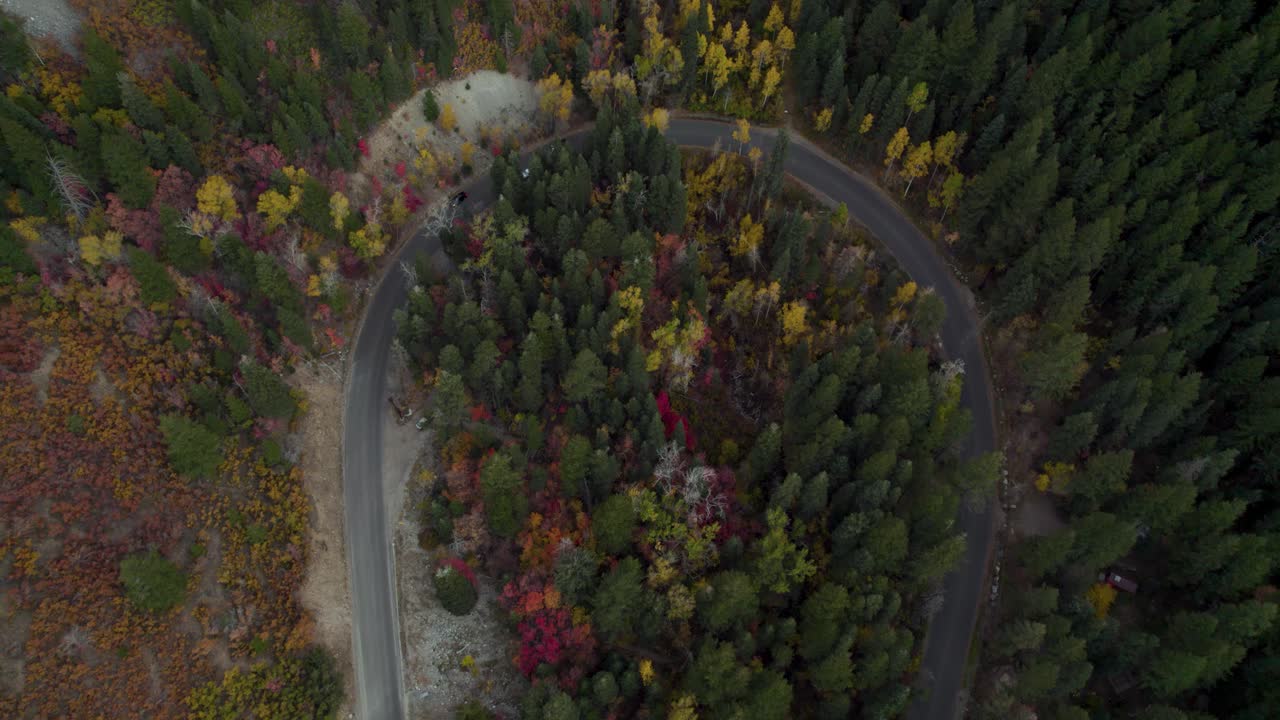kørsel på alpine naturskønne biler loop gennem efterårstræer i american fork canyon, utah