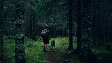 indre fosen, noruega - un caballero está paseando por una ruta de peregrinación costera con su perro - foto estática