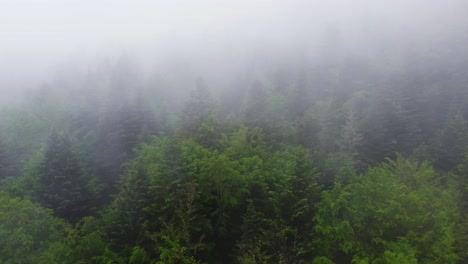 Aerial-orbiting-moody-mountain-forest-under-heavy-clouds-4K