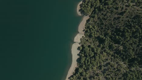 Aerial-view-of-forest-and-lake